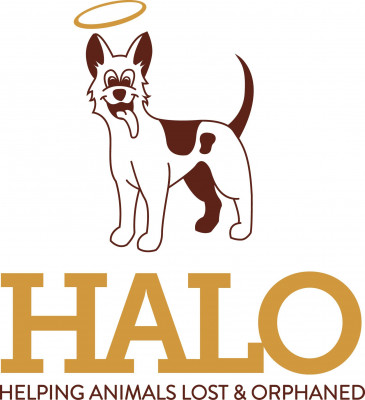 HALO - Pet Shelter and Rescue in Xenia, Ohio