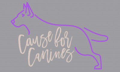 Cause For Canines - Pet Shelter and Rescue in Pataskala, Ohio