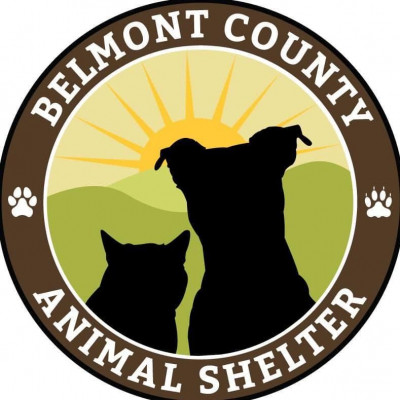 Belmont County Animal Shelter - Pet Shelter and Rescue in Saint Clairsville, Ohio