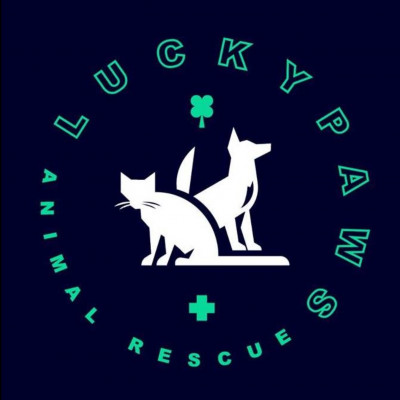 Lucky Paws Animal Rescue - Pet Shelter and Rescue in Cleveland, Ohio