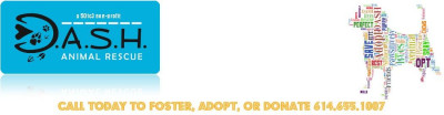 DASH - Pet Shelter and Rescue in Ashville, Ohio