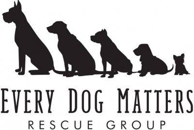 Every Dog Matters Rescue Group - Pet Shelter and Rescue in Youngstown, Ohio
