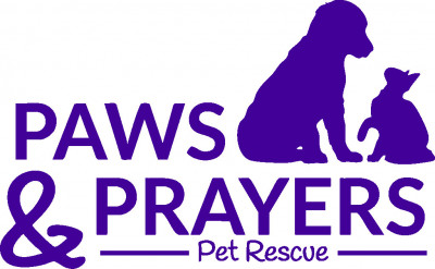 Paws And Prayers - Pet Shelter and Rescue in Cuyahoga Falls, Ohio