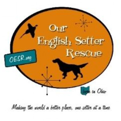 Our English Setter Rescue - Pet Shelter and Rescue in Hilliard, Ohio