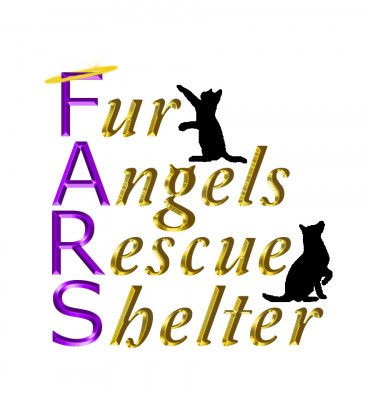 Fur Angels Rescue Shelter - Pet Shelter and Rescue in Ottawa Hills, Ohio