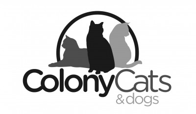 Colony Cats & Dogs - Pet Shelter and Rescue in Dublin, Ohio