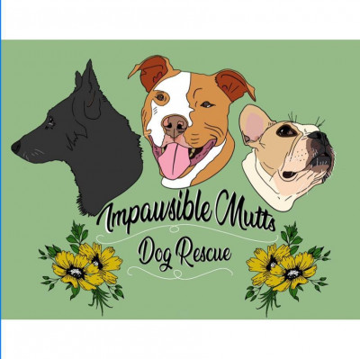 Impawsible Mutts Rescue - Pet Shelter and Rescue in Massillon, Ohio