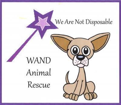 We Are Not Disposable, Inc. - Pet Shelter and Rescue in Festus, Missouri
