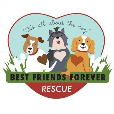 Best Friends Forever Rescue - Pet Shelter and Rescue