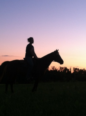 Bella Run Equine - Pet Shelter and Rescue in Athens, Ohio