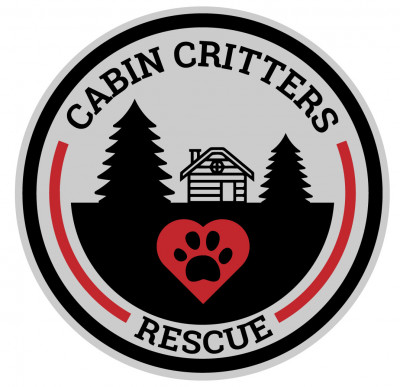Cabin Critters Rescue - Pet Shelter and Rescue in Wheelersburg, Ohio