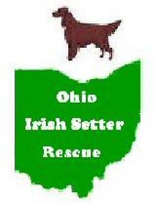 Ohio Irish Setter Rescue - Pet Shelter and Rescue in Cleveland, Ohio