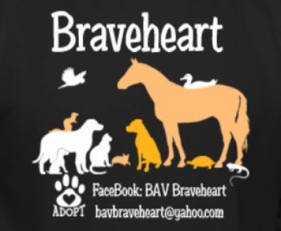 BAV-Braveheart Animal Volunteers - Pet Shelter and Rescue in Bonham, Texas
