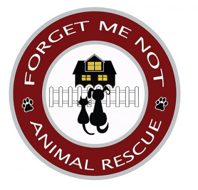 Forget Me Not Rescue - Pet Shelter and Rescue in Cleveland, Ohio