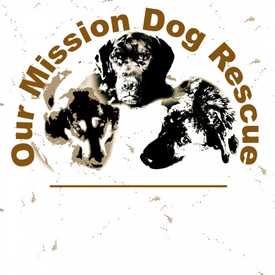Our Mission Dog Rescue - Pet Shelter and Rescue in Lewis Center, Ohio