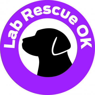 Lab Rescue OK , Inc. - Pet Shelter and Rescue in Broken Arrow, Oklahoma
