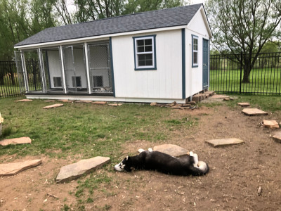 Husky Halfway House Foundation - Pet Shelter and Rescue in Eufaula, Oklahoma