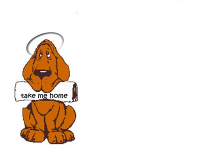 OKAdoptADog - Pet Shelter and Rescue in Harrah, Oklahoma