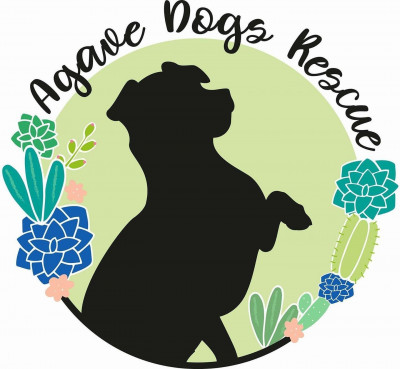 Agave Dogs Rescue - Pet Shelter and Rescue in Beavercreek, Oregon