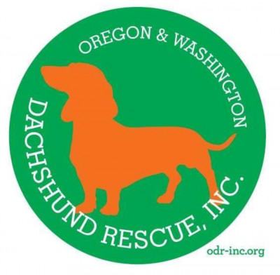 Oregon Dachshund Rescue Inc. - Pet Shelter and Rescue in Portland, Oregon