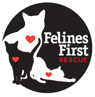 Felines First Rescue - Pet Shelter and Rescue in Lafayette, Oregon