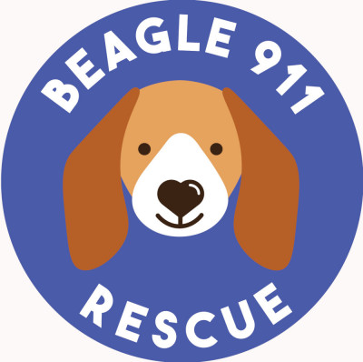 Beagle911 Rescue - Pet Shelter and Rescue in State College, Pennsylvania