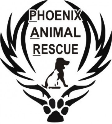 Phoenix Animal Rescue - Pet Shelter and Rescue in Chester Springs, Pennsylvania