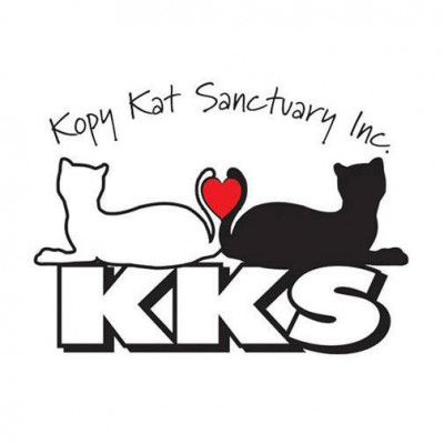 Kopy Kat Sanctuary - Pet Shelter and Rescue in Delmont, Pennsylvania
