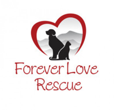 Forever Love Rescue Inc - Pet Shelter and Rescue in Littlestown, Pennsylvania