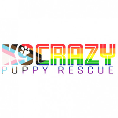 K9 Crazy Puppy Rescue - Pet Shelter and Rescue in Camp Hill, Pennsylvania