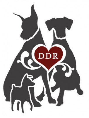 Distinguished Dobermans Rescue - Pet Shelter and Rescue in Clinton, Pennsylvania