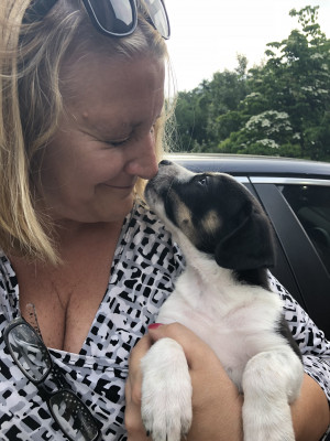 Cross Your Paws Rescue - Pet Shelter and Rescue in Irwin, Pennsylvania