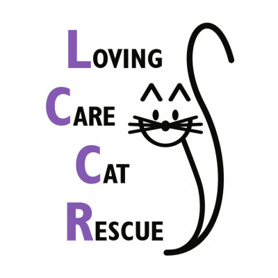 Loving Care Cat Rescue Of Central PA - Pet Shelter and Rescue in Lemoyne, Pennsylvania