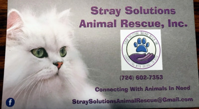 Stray Solutions Animal Rescue - Pet Shelter and Rescue in Butler, Pennsylvania