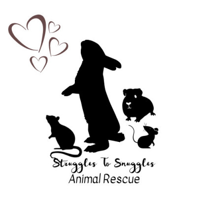 Struggles To Snuggles Animal Rescue Inc - Pet Shelter and Rescue in Johnstown, Pennsylvania