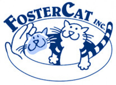 FosterCat Inc. - Pet Shelter and Rescue in Pittsburgh, Pennsylvania