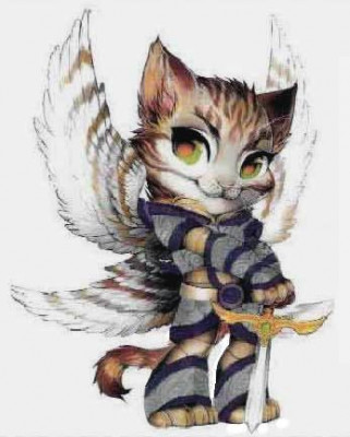 Rescue Warriors Cat Rescue - Pet Shelter and Rescue in West Pittston, Pennsylvania