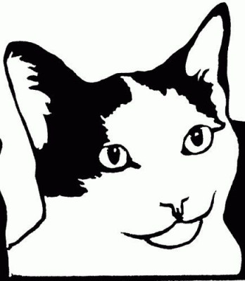 Absolutely Purrfect - Pet Shelter and Rescue in Lenhartsville, Pennsylvania