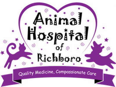 Animal Hospital Of Richboro - Pet Shelter and Rescue in Richboro, Pennsylvania