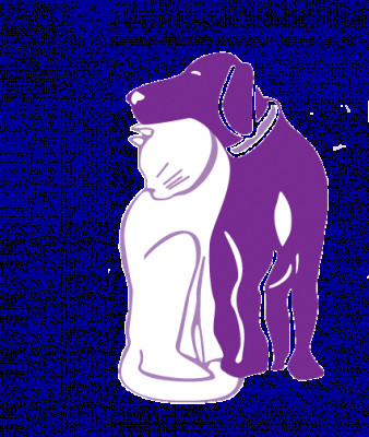 Dessin Animal Shelter - Pet Shelter and Rescue in Honesdale, Pennsylvania