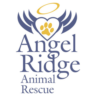 Angel Ridge Animal Rescue - Pet Shelter and Rescue in Washington, Pennsylvania