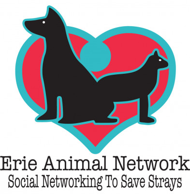 Erie Animal Network - Pet Shelter and Rescue in Erie, Pennsylvania