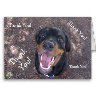 Group Education To Protect And Defend Animals - Pet Shelter and Rescue in San Jose, California