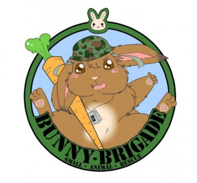 Bunny Brigade Inc. - Pet Shelter and Rescue in Wilkes-Barre, Pennsylvania