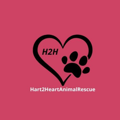 Hart 2 Heart Animal Rescue - Pet Shelter and Rescue in Philadelphia, Pennsylvania