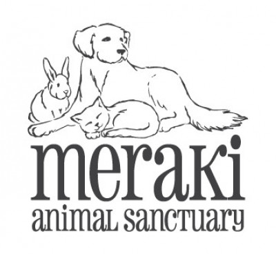 Meraki Animal Sanctuary - Pet Shelter and Rescue in Philadelphia, Pennsylvania