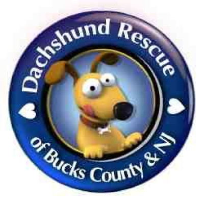 Dachshund Rescue Of Bucks County & NJ - Pet Shelter and Rescue in Morrisville, Pennsylvania