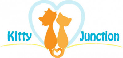 Kitty Junction Inc. - Pet Shelter and Rescue in Horsham, Pennsylvania