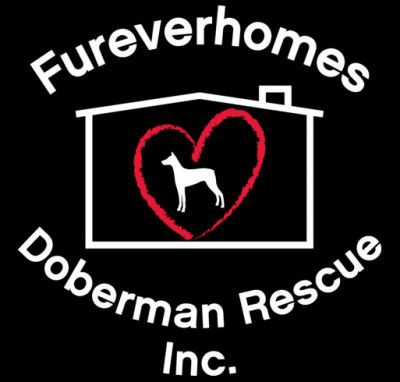 Fureverhomes Doberman Rescue, Inc. - Pet Shelter and Rescue in Bath, Pennsylvania