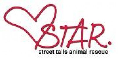 Street Tails Animal Rescue - Pet Shelter and Rescue in Philadelphia, Pennsylvania